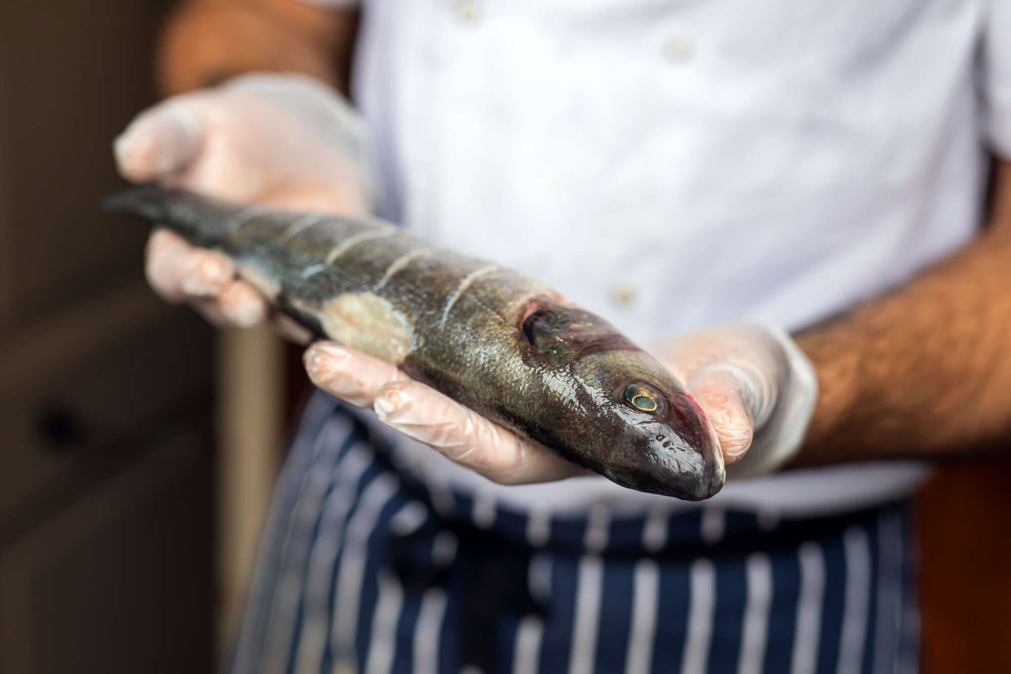 Riverside seafood vauxhall